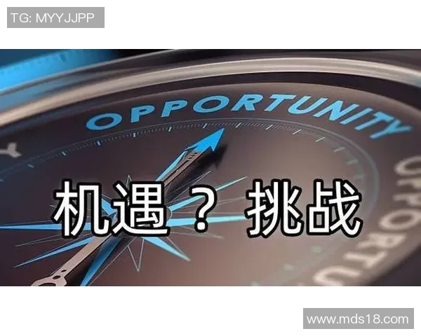 深圳网球队状态分析:新赛季挑战与机遇并存的全面评估